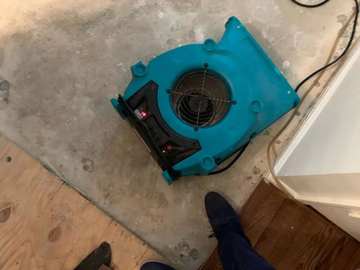 Air mover drying subfloor during Commercial Water Damage Restoration in Rocky Mount